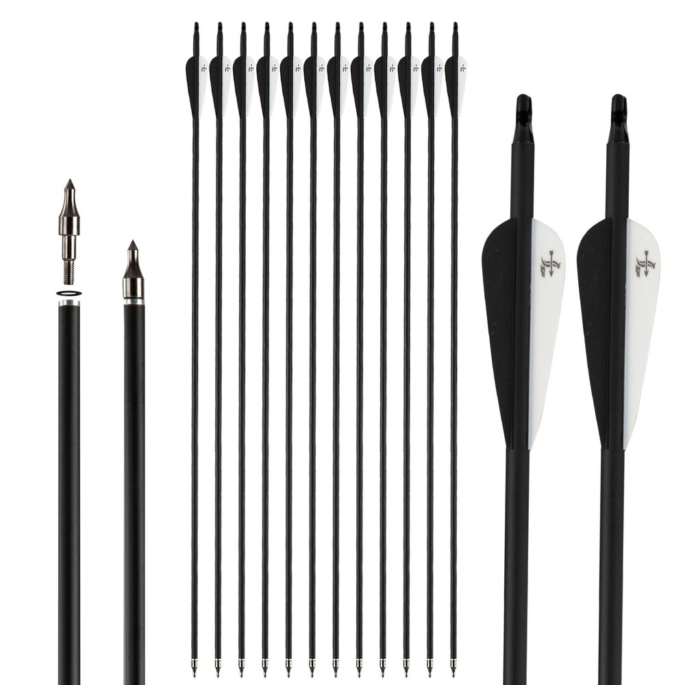 30 inch Carbon Arrow Practice Hunting Arrows Spine 500 for Compound & Recurve Bow(Pack of 12)