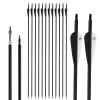 30 inch Carbon Arrow Practice Hunting Arrows Spine 500 for Compound & Recurve Bow(Pack of 12)