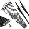 30 inch Carbon Arrow Practice Hunting Arrows Spine 500 for Compound & Recurve Bow(Pack of 12) view 2