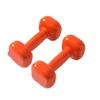 Dumbbel A Pair Of Dumbbells For Women And Men's Gym Home Beginners Exercise Fitness Cast Iron Pure Steel Dumbbells Barbell (Multicolored 6kg) view 1