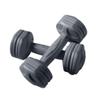 Dumbells Dumbbells For Women And Men Fitness Home Equipment Yoga Exercise Arm Muscle Plastic Coated Dumbbells Aerobics Dumbell Set (Grey 6KG) view 1