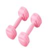 Dumbells Fitness Dumbbells For Men And Women Home Exercise Dumbbells For Arm Muscle Training Home Fitness Equipment Dumbell Set (Pink 10kg) view 1