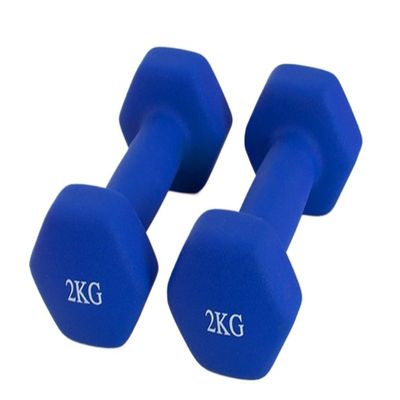 Dumbells Slim Arm Fitness Women's Chest Sub-bell Home Yoga Small Dumbbell Sports Equipment Dumbbell Men's Muscle Gain Dumbell Set (Blue 3kg)