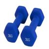 Dumbells Slim Arm Fitness Women's Chest Sub-bell Home Yoga Small Dumbbell Sports Equipment Dumbbell Men's Muscle Gain Dumbell Set (Blue 3kg) view 1