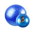 Exercise Ball,Balance Ball for Pilates,Yoga Ball Fitness with Anti-Burst Stability Ball (Blue 55cm) view 1