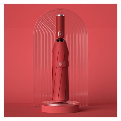 RENEESME Umbrellas for Rain Simple Automatic Umbrella Twelve-Bone Automatic Umbrella Sunny Umbrella Business Men's Umbrella Strong Umbrella for Wind and Rain(D)