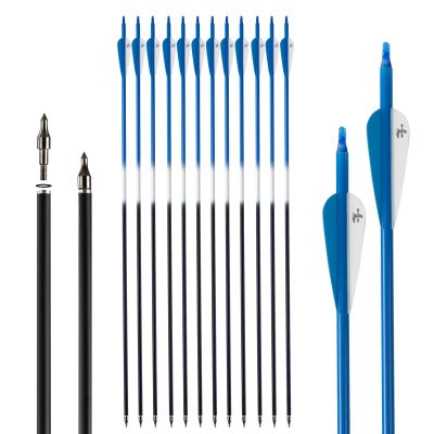 S F 30 inch Carbon Arrow Practice Hunting Arrows Spine 500 for Compound & Recurve Bow(Pack of 12)