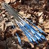 S F 30 inch Carbon Arrow Practice Hunting Arrows Spine 500 for Compound & Recurve Bow(Pack of 12) view 4