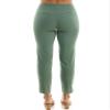 Zac & Rachel Women's Plus Pull-On Ankle Length Pants with Millennium Fabric, Laurel Wreath, 24W view 4