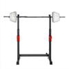 FENOKD Weightlifting Bed Gym/Home Portable Dumbbell Rack - Multi-Function Squat Bench Press Dipping Station Weight Lift Rack, Adjustable Steel Barbell Squat Rack