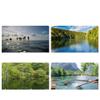 YMXHYC Throw Net Fishing Nets, Aluminum Rings, Easy to Cast Nets, Hand Cast Nets, Cast Nets, Catch Fish Nets, Fishing Nets Fishing Throw net(300 Steel Fall 5 feet) view 4