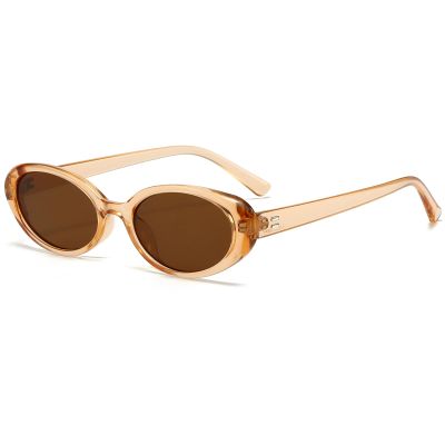 Breaksun Retro Oval Sunglasses for Women Men Fashion Small Oval Sunglasses 90s Vintage Shades (Clear brown/Brown)