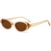 Breaksun Retro Oval Sunglasses for Women Men Fashion Small Oval Sunglasses 90s Vintage Shades (Clear brown/Brown) view 1