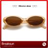 Breaksun Retro Oval Sunglasses for Women Men Fashion Small Oval Sunglasses 90s Vintage Shades (Clear brown/Brown) view 2