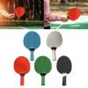 Comfortable Grip Paddle Portable Table Tennis Paddle Rubber Table Tennis Rackets for Indoor Outdoor Play view 2
