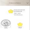 14K Gold Four Leaf Clover Stud Earrings for Women Lucky Flower Jewelry (Yellow-14K Gold) view 3