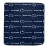 NCAA Penn State Nittany Lions Repeat Logo Wordmark Ultra Soft Blanket view 1