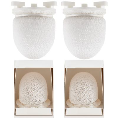 Sunnychicc 4 Pack Gas Mantles for Outdoor Gas Lamps Preformed Gaslight Mantles for Lamp Post, White