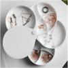 BHCCYS Upscale Multi-layer Jewelry Case 360 Rotating Jewelry Storage Jewelry Storage Rack Rotating Earring Jewelry Organizer Durability(White)