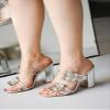 Cape Robbin Prunella Double Buckle Sandals for Women, Stylish Block Heels Mule Heels, Confortable Mules Sandals for Women - Silver Size 8 view 2