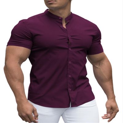 URRU Men's Muscle Dress Shirts Slim Fit Stretch Banded Collar Short Sleeve Casual Button Down Shirts, Purple, Large