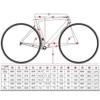 HIMALO Carbon Road Bike Frameset Discoloration Disc Brake Frame 46/48/50/52/54CM Racing Frame Thru Axle 100/142mm with Fork, for 700c Wheels(Silver,46CM) view 2