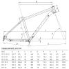 HIMALO 27.5/29er Bike Frame Titanium Alloy Mountain Bike Frame 15.5''/17''/19'' XC AM Rigid Frame Lightweight Disc Brake Thru Axle 12x142mm(27.5 * 15.5'') view 2