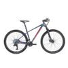 HIMALO Carbon Fiber Bike Frame 27.5er 29er Hardtail Mountain Bike Frame 15''/17''/19'' 12x142mm Thru Axle Disc Brake Frame XC Internal Routing(29 * 19'') view 2