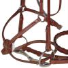 Paris Tack Opulent Series Figure 8 Fancy Stitched Horse Bridle w/Rubber Reins view 4