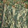 NILZA Jungle Camouflage Net Military Camo Net 6.5x10ft 10x13ft 1020ft Camouflage Netting Hunting Blind Shooting Camo Netting Cover for Outdoor Camping Party(3X8m/(9.8x26ft)) view 2
