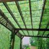 NILZA Army Camo Net Green Camouflage Netting Blinds 23 3x4 2x10 4x6 6x6 10x10m Oxford Fabric Hunting Shade Cover for Outdoor Sunshade Garden Camping Camo Netting(2x3(6.5x9.8ft)) view 3