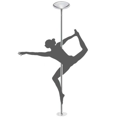 Professional Dancing Pole Portable Pole Dance Pole for Home, Adjustable Height Stripper Fitness Pole, Spinning Static Dancing Tube Kit, Professional Heavy-Duty Steel Pole(2.2m-2.7m(7.2ft-8.8ft))