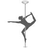 Professional Dancing Pole Portable Pole Dance Pole for Home, Adjustable Height Stripper Fitness Pole, Spinning Static Dancing Tube Kit, Professional Heavy-Duty Steel Pole(2.2m-2.7m(7.2ft-8.8ft)) view 1
