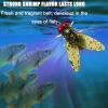 Bionic Fly Fishing Bait (20PCS) - 2024 New Trout Jigs Swimbaits Dry Flies Bass Fly Fishing Lures Kit, Saltwater  Freshwater Flies Spinner Swim Baits Fly Fishing Hook Panfish Lures Set (Green, 12mm) view 3