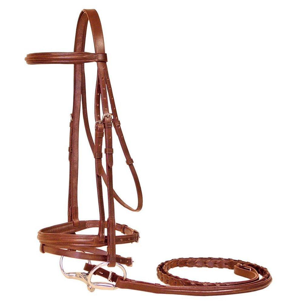 Paris Tack Padded Raised English Horse Bridle with Flash and Laced Reins  Premium Leather