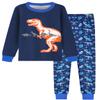 Fiodrimy Boys Pajamas 2 Pieces Pajama Set for Boy Dinosuar Long Set Sleepwear Soft & Cute for Kids 3-8 Years Blue view 1