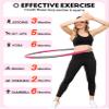 Phobby Weighted Exercise Hoop for Adults, 2.2lb Detachable Fitness Hoop, Adjustable Hoops with Jump Rope, Tape Measure and Carry Bag, Home Gym Workout (Pink Grey) view 4