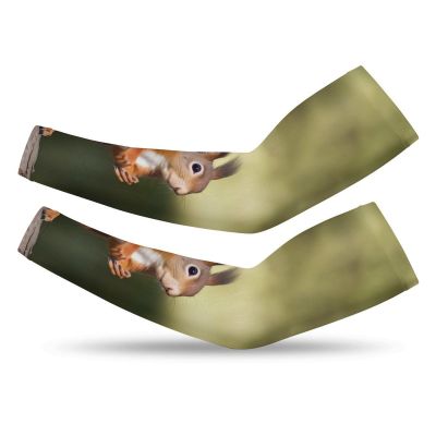 NTVOWPZO UV Sun Protection Arm Sleeves Cooling Cute Squirrels Sports Compression Athletic Sleeves for Basketball Cycling