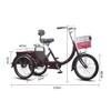 Tricycle Adult 3 Wheels 20 Inch Adult Trike Bike Cruiser Bikes 3 Wheel,Cycling Tricycle For Outdoor Sports,cargo Bike Tricycle With Basket Elderly Tricycle With Shopping Basket(With backrests) view 2