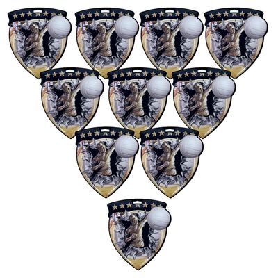 10 Pack Large 3 Inch Shield Shape Female Volleyball Medals Trophy Team Award with Neck Ribbons CSM Awards Trophies Gift Womens Women Girl Girls Beach Indoor Outdoor