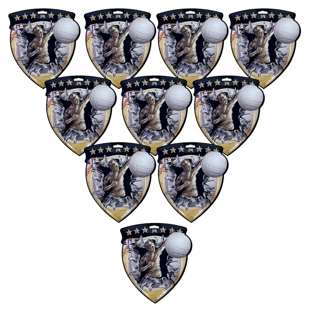 10 Pack Large 3 Inch Shield Shape Female Volleyball Medals Trophy Team Award with Neck Ribbons CSM Awards Trophies Gift Womens Women Girl Girls Beach Indoor Outdoor