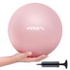 APEXUP 9 Inch Pilates Ball Small Exercise Ball for Yoga, Fitness, Balance, Core Workout, Physical Therapy (XXS (9") 23cm, Pink) view 1