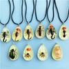 Caiyao Real Bug Necklace Real Insect Beetle Spider Scorpion Ant Taxidermy Animals Insect Collect Pendant Necklace Jewelry-Spider view 2