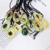 Caiyao Real Bug Necklace Real Insect Beetle Spider Scorpion Ant Taxidermy Animals Insect Collect Pendant Necklace Jewelry-Spider view 4
