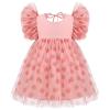 Berry Sweet One Birthday Party Outfit Baby Girl Pink Strawberry Tulle Dress Berry First Birthday Outfit Toddler Cake Smash Strawberry Tutu Dresses Pink Strawberry 9-12 Months view 1