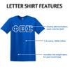 Phi Beta Sigma Twill Letter Shirt Royal Blue - 3X view 2