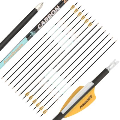 ZSHJGJR 32 Inch Pure Carbon Arrows ID 4.2mm Targeting Arrows Spine 300 400 500 600 700 800 900 1000 for Archery Competition Target Shooting Hunting 6/12Pack (6, Yellow White, Spine 300)