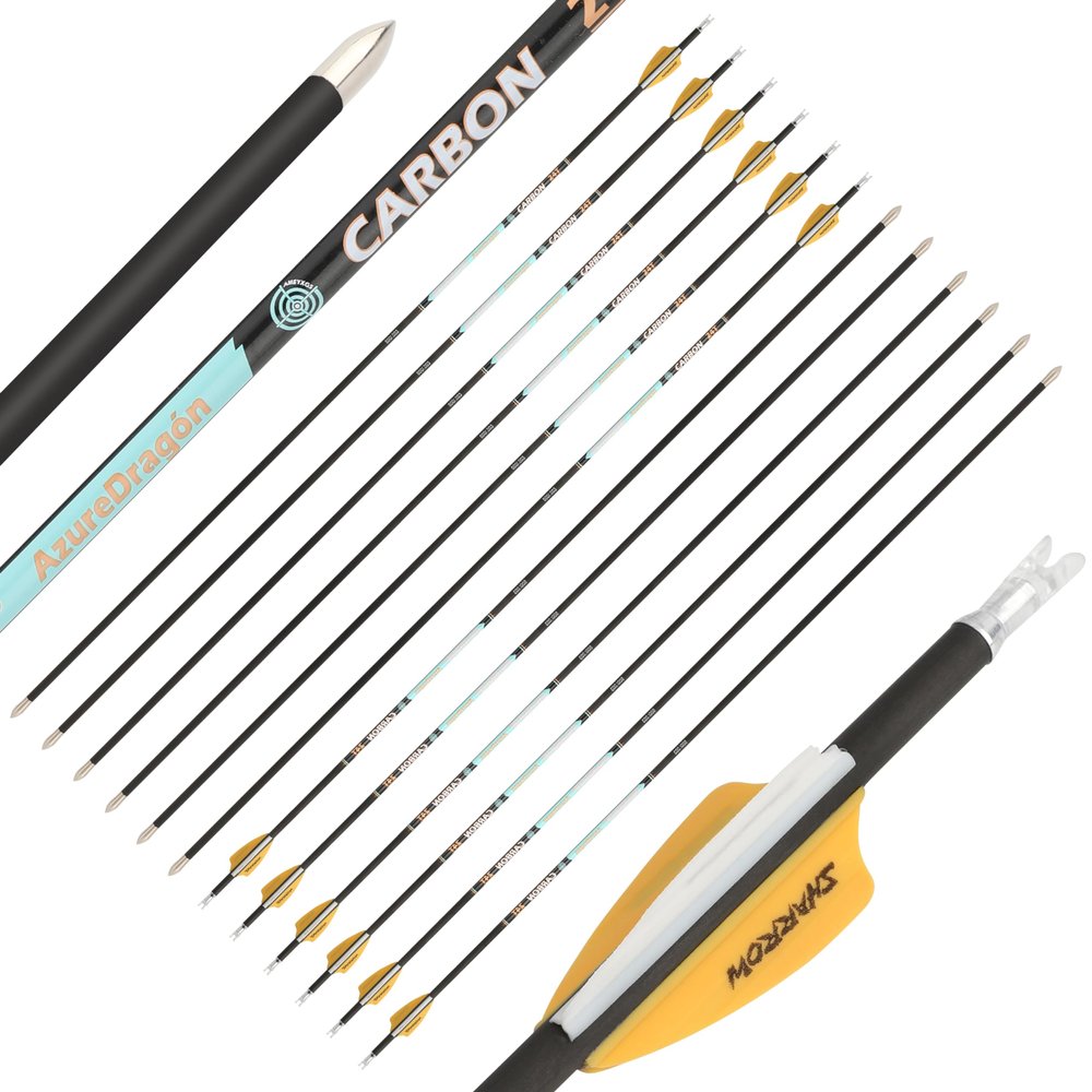 ZSHJGJR 32 Inch Pure Carbon Arrows ID 4.2mm Targeting Arrows Spine 300 400 500 600 700 800 900 1000 for Archery Competition Target Shooting Hunting 6/12Pack (6, Yellow White, Spine 300)