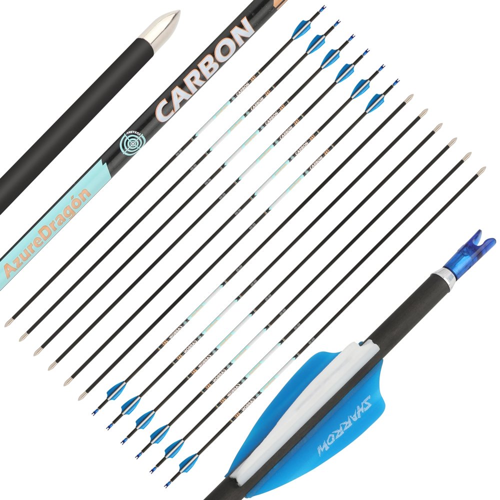 ZSHJGJR 32 Inch Pure Carbon Arrows ID 4.2mm Targeting Arrows Spine 300 400 500 600 700 800 900 1000 for Archery Competition Target Shooting Hunting 6/12Pack (12, Blue White, Spine 500)