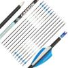 ZSHJGJR 32 Inch Pure Carbon Arrows ID 4.2mm Targeting Arrows Spine 300 400 500 600 700 800 900 1000 for Archery Competition Target Shooting Hunting 6/12Pack (12, Blue White, Spine 500) view 1